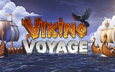 Viking Voyage