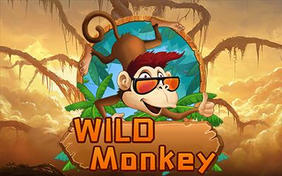 WILDMonkey