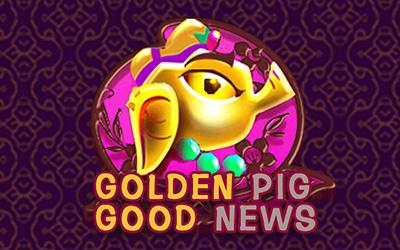 GOLDEN PIG GOOD NEWS