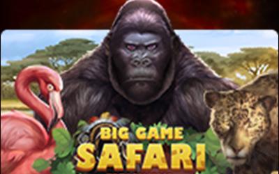 Big Game Safari