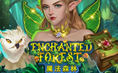 Enchanted-Forest