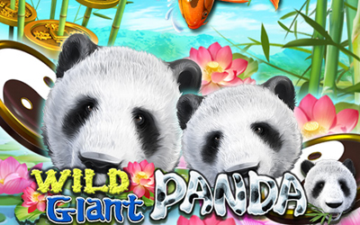 Wild Giant Panda