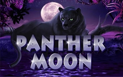 Panther Moon