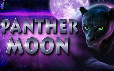 Panther Moon