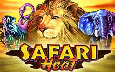 Safari Heat