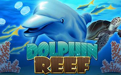 Dolphin Reef