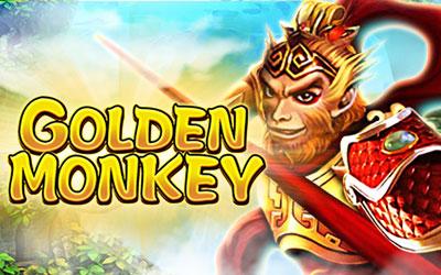 Golden Monkey