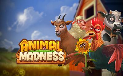 Animal Madness