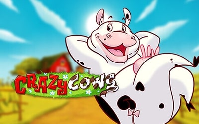 Crazy Cows