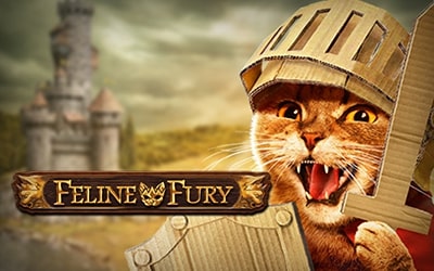 Feline Fury