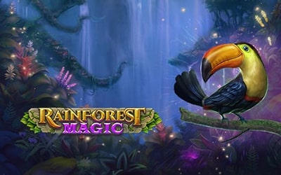 Rainforest Magic