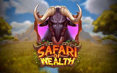 Safari of Wealth