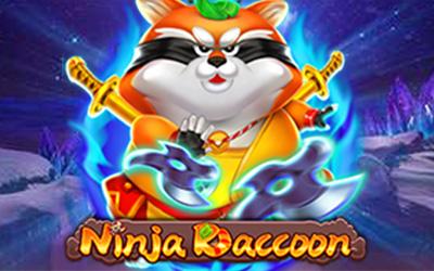 Ninja Raccoon