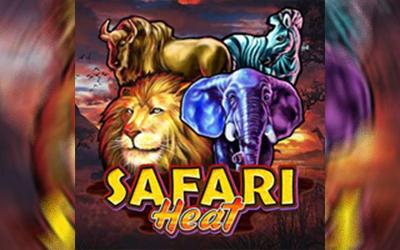 Safari Heat