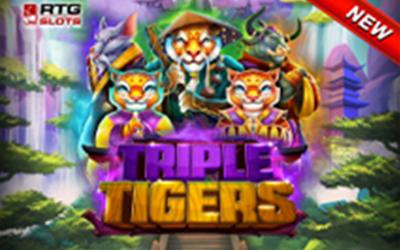 Triple Tigers