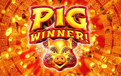 Pig Winner