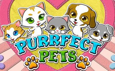 Purrfect Pets