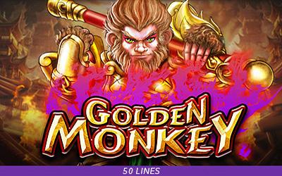 Golden Monkey