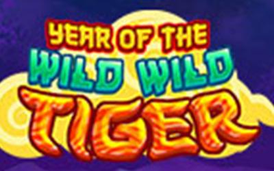 Year Of The Wild Wild Tiger