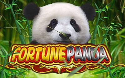 Fortune Panda