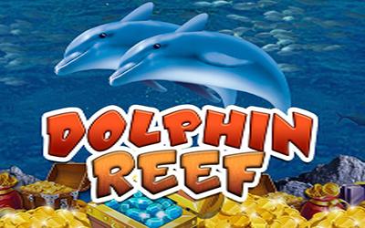 Dolphin Reef