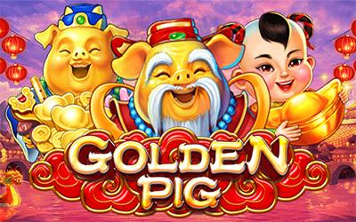 Golden Pig