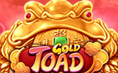 Gold Toad